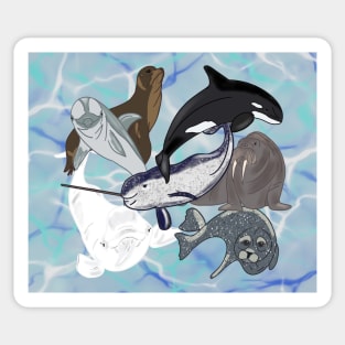 Marine Mammals Sticker